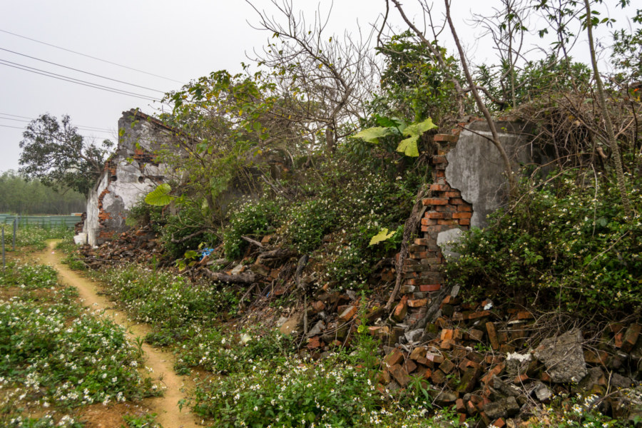 Unidentified Ruins at the Shengtai Brick Factory