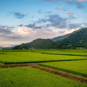 Dusky Skies Over Scenic Huadong Valley Rice Paddies