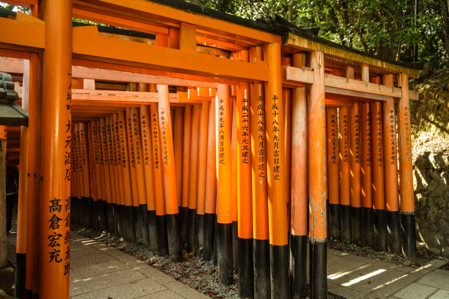 Twin torii tunnels at Fushimi Inari Taisha