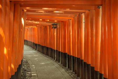 A bend in one of the twin torii tunnel at Fushimi Inari Taisha