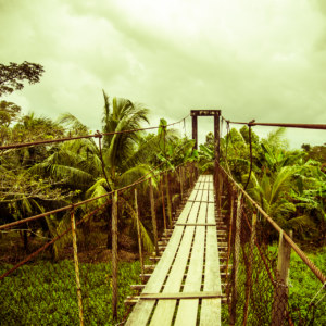 A bridge in the tropics