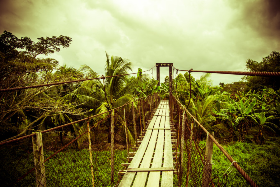 A bridge in the tropics