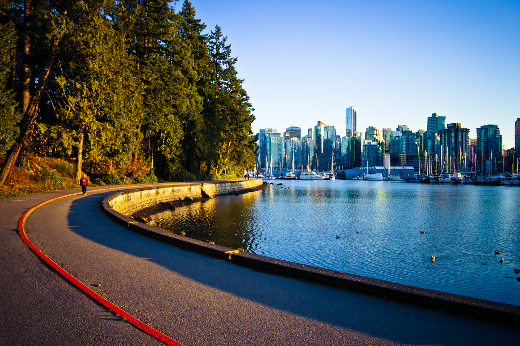 Vancouver canada. Ванкувер Канада. Стэнли парк Канада. Ванкувер город Стэнли парк. Ванкувер, Британская Колумбия, Канада.