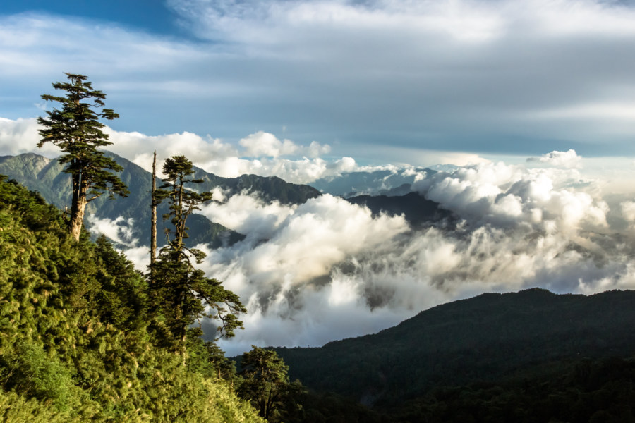 High in the Central Mountain Range of Taiwan