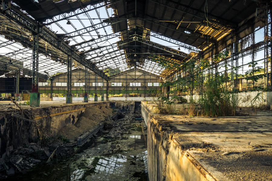 Nature reclaims the automotive factory