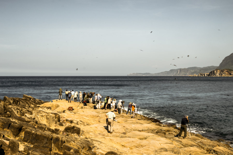 Birdwatchers of Badouzi