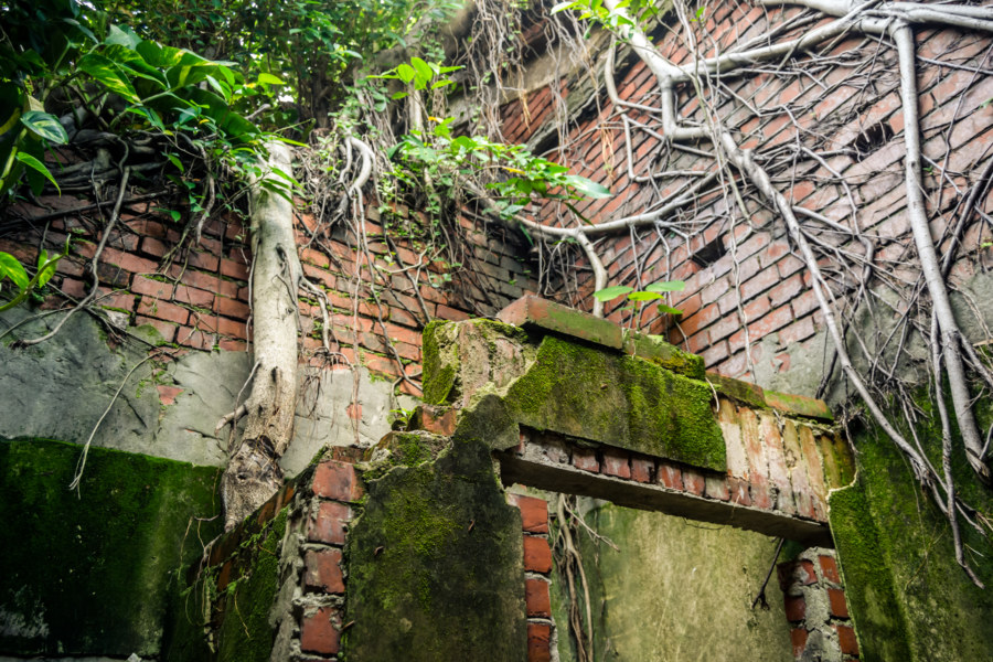 The decaying ruins of Qingyu Hall