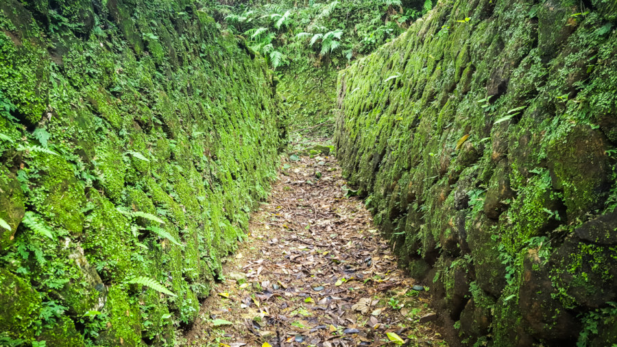 Overgrown walls of the old military encampment