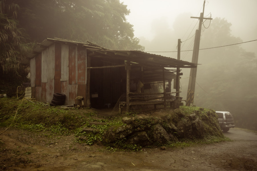 An old shack next to a mountainside tea plantation in Nantou