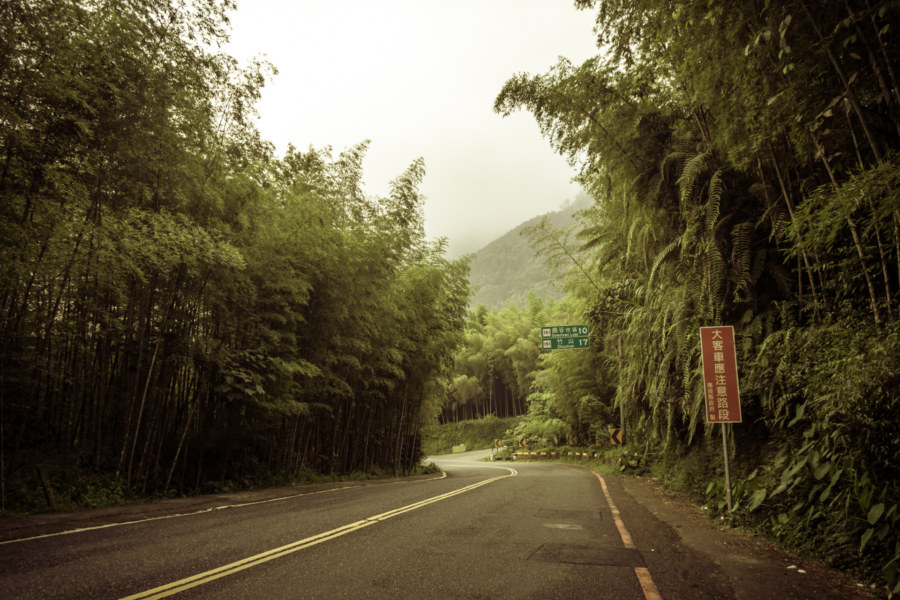 Descending through the bamboo forest of Lugu