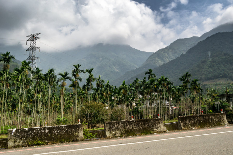 On the Road in Nantou County