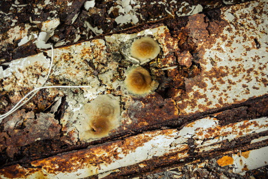 Stalagmites forming on the rust
