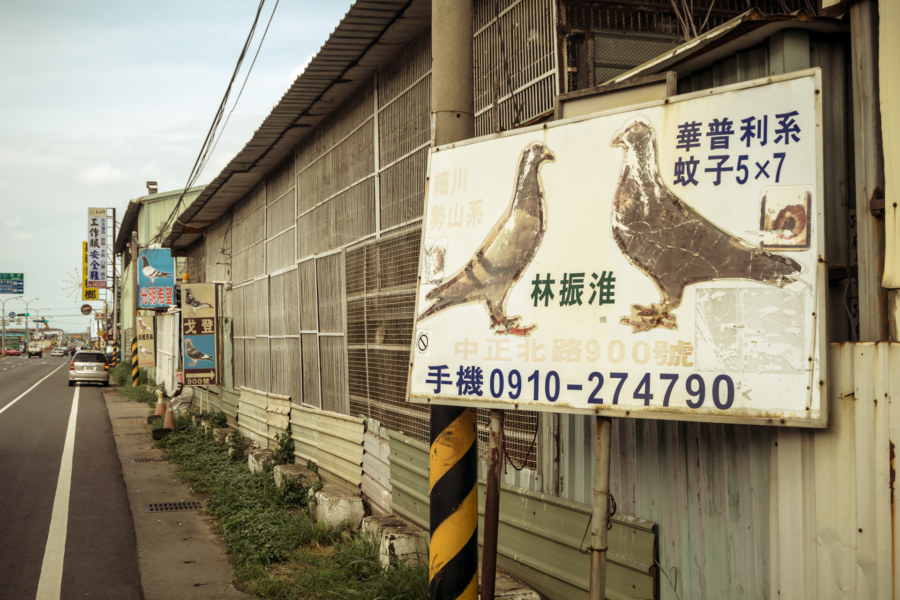 Pigeon coop on the roadside in Yongkang