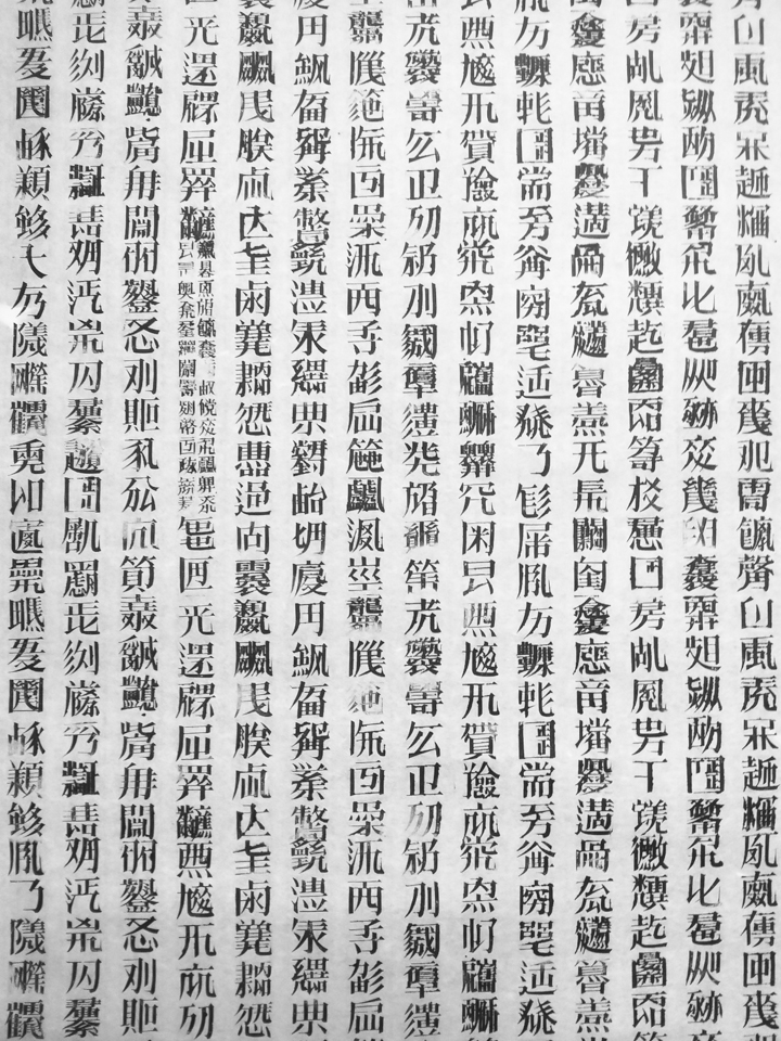 Detail of A Book From The Sky 天書