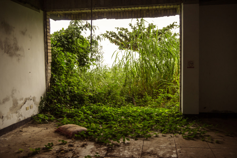 An overgrown window at Jiamuzi Bay Bed & Breakfast 加母子灣