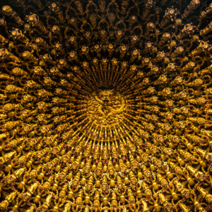 Dragon ceiling at Taoyuan Guandi Temple 桃園關帝廟