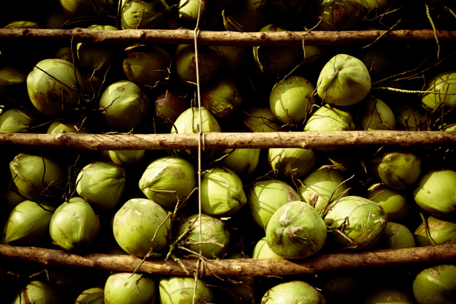 A truckload of coconuts